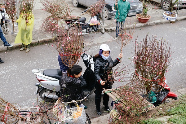 du lịch ngày tết
