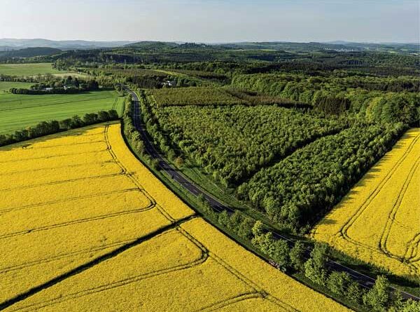 Điều kiện tách thửa đất nông nghiệp tại Hà Nội