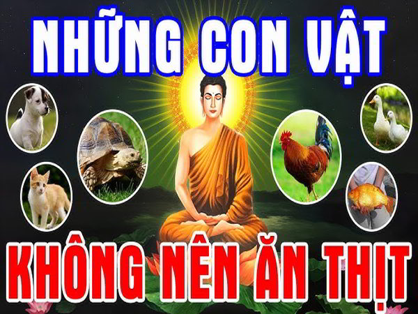 Hé lộ những con vật không nên sát sinh theo đạo Phật